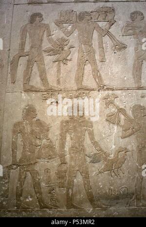 Ägypten. Sakkara. Mastaba des Ptahhotep und Akhethotep. 5. Dynastie. Altes Königreich. Ägyptische Wesire. Vater und Sohn. Polychrome Relief Darstellung bietet Träger. Stockfoto