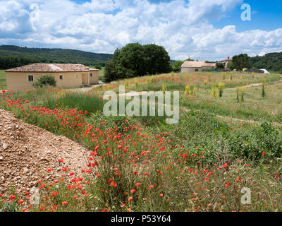 Roter Mohn Blumen und alten provence Haus im ländlichen Süden frankreich Landschaft Stockfoto