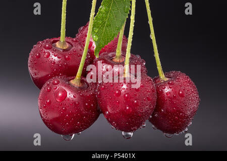 Schönen Haufen nassen Süßkirschen close-up. Prunus avium. Frische reife rote Beeren, grünes Blatt und Wassertropfen. Gesund saftig vegetarischen Snack. Stockfoto