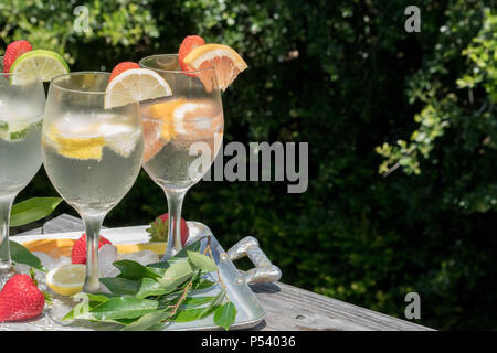 Aktualisieren Sie Ihren Durst mit Stil - Mineralwasser, garniert mit frischem Obst ein gesundes, erfrischendes Sommer trinken. Beeindrucken Sie Ihre Freunde mit einem kalten Stockfoto