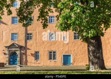 Baum auf dem Schlossplatz von Hann. Munden, Deutschland Stockfoto