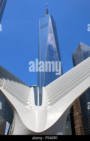 NEW YORK, NY - 28. Juni: Calatrava ist Oculus außen Stahl rib Struktur über WTC1 Gebäude im Finanzdistrikt, Manhattan am 28. Juni überlagert, Stockfoto