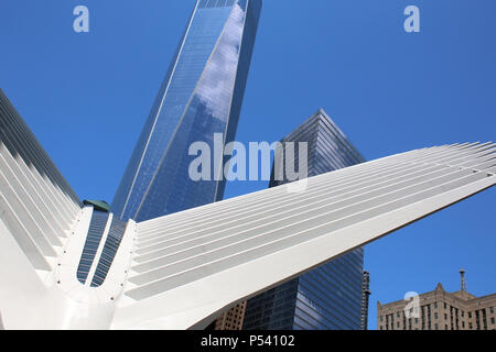 NEW YORK, NY - 28. Juni: Calatrava ist Oculus außen Stahl rib Struktur über WTC1 Gebäude im Finanzdistrikt, Manhattan am 28. Juni überlagert, Stockfoto