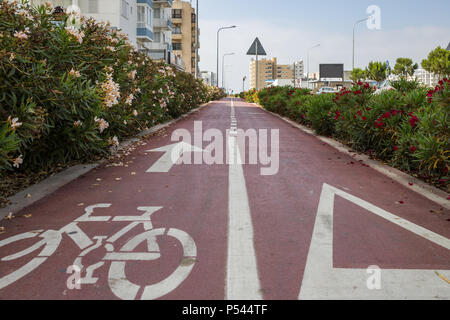 Rad weg von roten und weißen Blumen, roten Asphalt mit einem weißen Pfeil für Fahrräder umgeben. Stadt, Sky Kulisse. Stockfoto