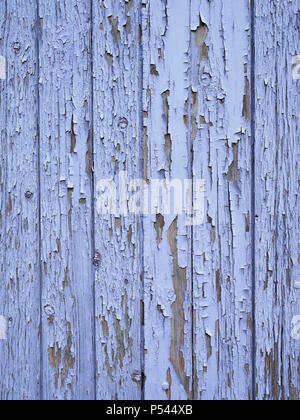Peeling blau lila Farbe auf alte Tür Stockfoto