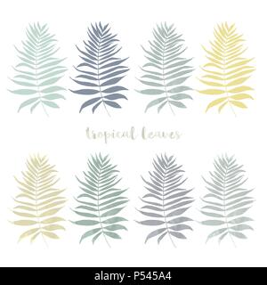 Satz von Palm, Dschungel, tropische Blätter Silhouetten auf weißem Hintergrund. Vektor floral, botanischen und Laub Abbildung Stock Vektor