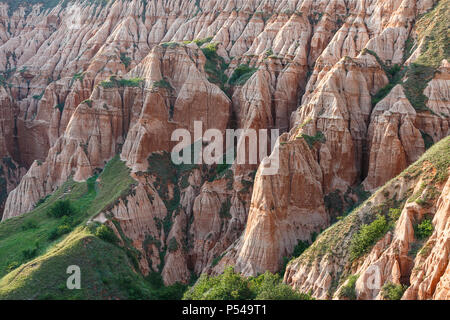 Rote Schlucht geschützten Bereich und einem natürlichen Monument, einer geologischen und botanischen finden in Rumänien Stockfoto