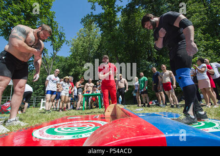 KAZAN, Russland - 23. JUNI 2018: Traditionelle Tatarische festival Sabantuy - starke muskulöse Männer Bug zu einander vor der Schlacht im Freien Stockfoto