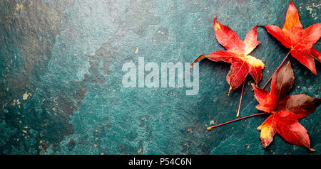 Herbst rote Blätter auf blau türkis Hintergrund. Kopieren Sie Platz. Ansicht von oben. Stockfoto