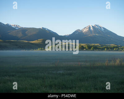 Die schneebedeckten Berge in der Absaroka Range in Montana mit einem Nebel Weide im Vordergrund. Bei Sonnenaufgang fotografiert. Stockfoto