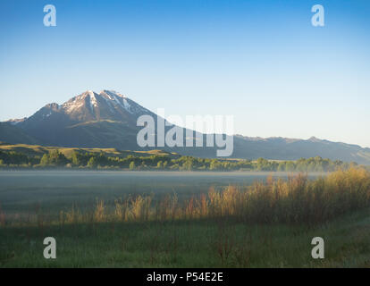 Die schneebedeckten Berge in der Absaroka Range in Montana mit einem Nebel Weide im Vordergrund. Bei Sonnenaufgang fotografiert. Stockfoto