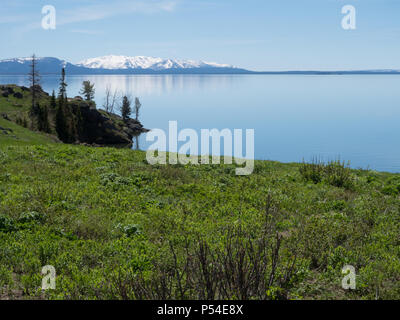 Yellowstone Lake mit üppigen Gras im Vordergrund, einer felsigen Küste und die schneebedeckten Berge der Absaroka Bergkette im Hintergrund begrenzt. Stockfoto