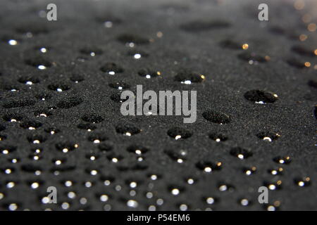 Morgentau fällt. Stockfoto