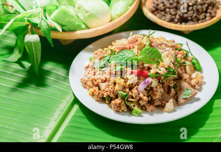 Würzige Schweinehackfleisch mix Zanthoxylum rhetsa mit frischem Gemüse, Nördliche Essen in Thailand Stockfoto