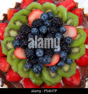 Frische Sommer Obstkuchen, Erdbeeren, Kiwis, Blaubeeren, boysenberries, Brombeeren. Ansicht von oben flach extreme Nahaufnahme quadratischen Format Stockfoto