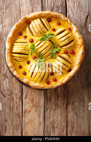 Frisch gebackenen Apfelkuchen mit Preiselbeeren, Pudding und Minze Nahaufnahme auf dem Tisch. Vertikal oben Ansicht von oben Stockfoto