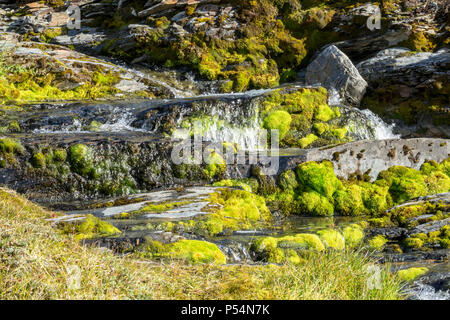 Shackleton's Wasserfall in Shackleton Valley, South Georgia Island Stockfoto