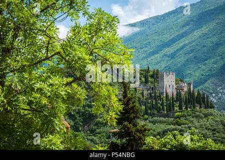 Arco Burg (Castello di Arco) ist eine Burgruine befindet sich auf einem markanten Sporn hoch über Arco und die Sarca Tal im Trentino Alto Adige, nördliche Es Stockfoto