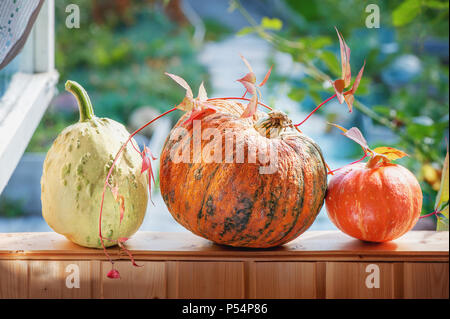 Drei verschiedene schöne reife Kürbisse liegen auf der Fensterbank im Haus im Hintergrund der herbstlichen Garten. Close-up. Kopieren Sie Platz. Stockfoto