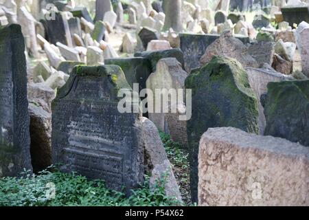 Tschechische Republik. Prag. Alter jüdischer Friedhof. War im Einsatz vom Anfang des 15. Jahrhunderts bis 1787. Grabsteine. Stockfoto