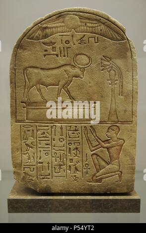Stele Stier von Mnevis laundryman Ipi gewidmet. Kalkstein. 19. Dynastie. Neuen Reich. C. 1300-1200 v. Chr.. Wahrscheinlich aus Heliopolis. Ny Carlsberg Glyptotek. Kopenhagen. Dänemark. Stockfoto