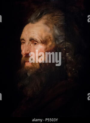 Peter Paul Rubens - Studie der männlichen Kopf (1617) Stockfoto
