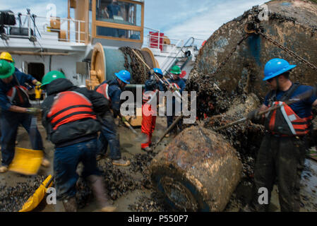 Die Crew der Coast Guard Cutter Eiche kratzen Muscheln aus eine Boje und Schaufel sie zurück in den Ozean, Mittwoch, 10. Mai 2017, an der Küste von Massachusetts. Marine Wachstum und Muscheln bauen sich im Laufe der Zeit und kann wiegen Sie die Boje. Stockfoto