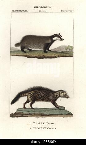 Europäischen Dachs Meles meles, und Zibetkatze, Civettictis Civetta. Papierkörbe Kupferstich Walze Gravur von Antoine Jussieu's 'dictionary der Naturwissenschaften", Florenz, Italien, 1837. Illustration von J. G. Pretre, gestochen von Terreni, unter der Regie von Pierre Jean-Francois Turpin, und durch Batelli e figli veröffentlicht. Jean Gabriel Pretre (17801845) war Maler der Naturgeschichte an der Kaiserin Josephine Zoo und wurde später Künstler im Museum für Naturkunde. Turpin (1775-1840) ist einer der größten französischen botanische Illustratoren des 19. Jahrhunderts angesehen. Stockfoto