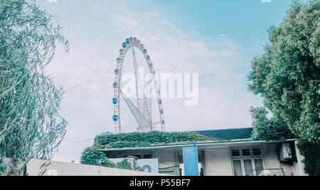 Shanghai, Shanghai, China. 24. Juni, 2018. Shanghai, China, 24. Juni 2018: Das Riesenrad ist das erste Riesenrad höher als 100 Meter im Jinjiang Action Park in Shanghai, China. Credit: SIPA Asien/ZUMA Draht/Alamy leben Nachrichten Stockfoto