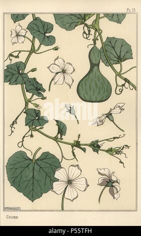 Botanische Illustration des Kürbis. Von Verneuil mit Pochoir (Schablone) handcoloring aus Eugene Grasset's "Pflanzen und ihre Anwendung zu Ornament", Paris, 1897 Lithographie. Grasset (1841-1917) war ein Schweizer Künstler, dessen innovative Designs der "Art Nouveau"-Bewegung am Ende des 19. Jahrhunderts inspiriert. Stockfoto