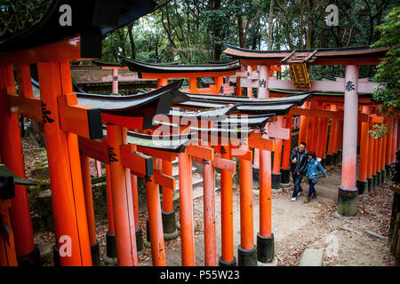 Torii-Tore im Fushimi Inari-Taisha Sanctuary, Kyoto, Japan Stockfoto