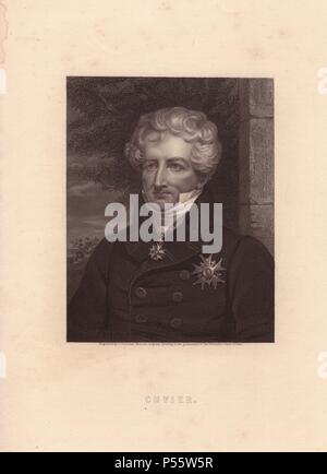 Baron Georges Cuvier (1769-1832). . - Georges-Léopold Chrétien-Frédéric - Dagobert Baron Cuvier, französischer Zoologe und Staatsmann, die Wissenschaften der vergleichenden Anatomie und Paläontologie etabliert. . . Dieses Portrait wurde auf Stahl von J.Thomson aus der ursprünglichen Zeichnung in den Besitz der Baroness Cuvier in Paris eingraviert. Von Charles Knight's "Galerie der porträts 1835. Stockfoto