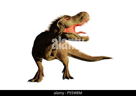 Tyrannosaurus rex brüllend, T-rex Dinosaurier (3D-Rendering auf weißem Hintergrund) Stockfoto