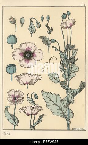 Botanische Illustration der Mohn, mit blume Teile, Opium pod, Papaver somniferum. Von Verneuil mit Pochoir (Schablone) handcoloring aus Eugene Grasset's "Pflanzen und ihre Anwendung zu Ornament", Paris, 1897 Lithographie. Eugene Grasset (1841-1917) war ein Schweizer Künstler, dessen innovative Designs der "Art Nouveau"-Bewegung am Ende des 19. Jahrhunderts inspiriert. Stockfoto