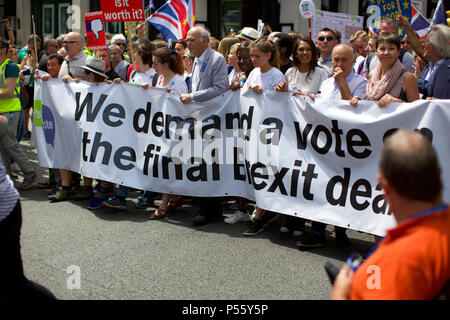 Brexit Protestmarsch Stockfoto