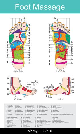 Während die verschiedenen Arten der Fußreflexzonen Massage verwandte Stile konzentrieren sich auf die Füße, Massage der Fußsohlen, ist oft rein zur Entspannung durchgeführt Stock Vektor