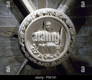 ARTE GOTICO. ESPAÑA. CLAVE de La Bóveda de la Catedral de Tortosa, en el año 1347 iniciada por el Maestro Bernat d''Alguaira consagrado, siendo El Altar mayor en el año 1441. Clave que se Halla en La Bóveda de una Capilla lateral. Estado de Tarragona. Cataluña. Stockfoto