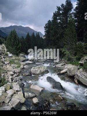 CATALUÑA. PARQUE NACIONAL DE AIGÜESTORTES Y LAGO DE SAN MAURICIO. Aguas Bravas del Río de Sant Nicolau. Provincia de Lleida. Comarca del Pallars Sobirà. Stockfoto