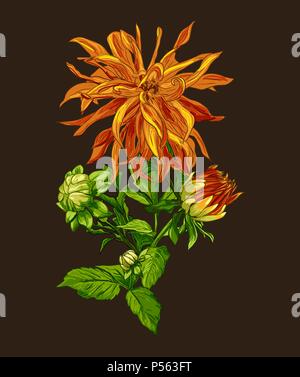 Sammlung von Hand gezeichnete Blumen kunst Linie von Hand zeichnen auf dunklem Hintergrund. Stock Vektor