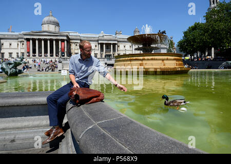 Ein Mann winkt eine Ente, während er in der Sonne auf dem Trafalgar Square in London sitzt, als eine Hitzewelle, die die heißesten Temperaturen in diesem Jahr produzieren könnte über Großbritannien ist schwungvoll. Stockfoto