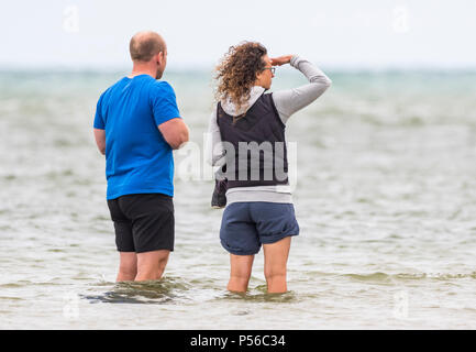 Paar Leute in Shorts Polsterung im Meer. Mann und Frau Polsterung im Ozean in Shorts. Stockfoto