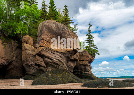 Die Hopewell Rocks auch als flowerpot Rocks, entlang der Bucht von Fundy, New Brunswick, Kanada. Stockfoto