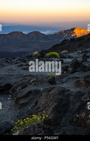 Gipfel des Teide, Teneriffa. Wanderer genießen Sie den spektakulären Sonnenuntergang und Teide der Schatten über dem Horizont von Altavista Zuflucht. Stockfoto