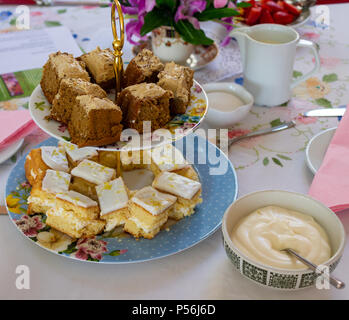 Nachmittagstee mit Kuchen, Sahne, Erdbeeren auf einem bunten Tischdecke gelegt Stockfoto