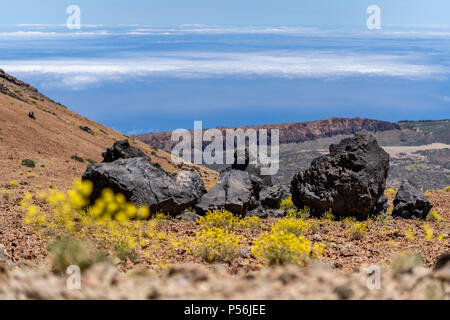 Kanarische Inseln, Teneriffa, Teide Nationalpark, vulkanische Eier um die Landschaft verstreut Stockfoto