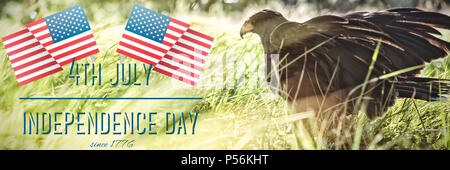 Independence Day-Grafik Stockfoto