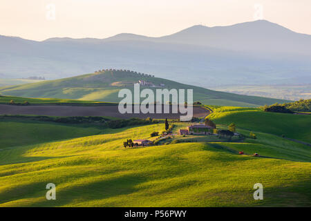 Sonnenbeschienenen Feld mit einem Bauernhof in der Toskana, Italien Stockfoto