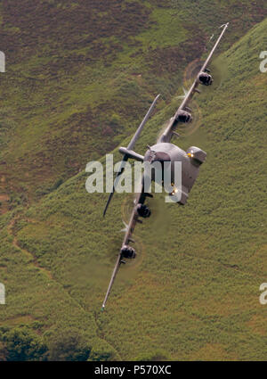 RAF Atlas A 400 m flying low level in der Mach loop Bereich von Wales (LFA7, niedrig fliegende Bereich 7) in der Nähe von Snowdonia Stockfoto