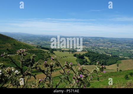 Walisischen Hügel in sonniger Tag in Clwydian Hügel Bereich Stockfoto