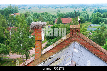 Storch im Nest auf ein altes Haus, Storchennest auf dem Dach eines roten Backsteingebäude, Storch mit kleinen Küken im Nest Stockfoto